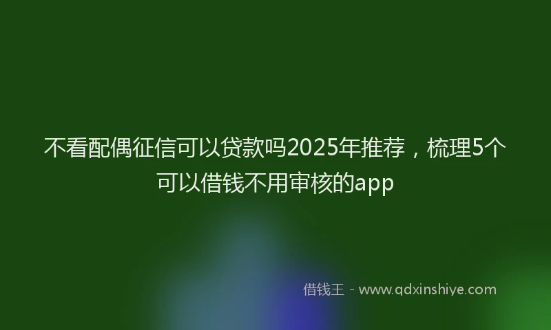 不看配偶征信可以贷款吗2025年推荐，梳理5个可以借钱不用审核的app