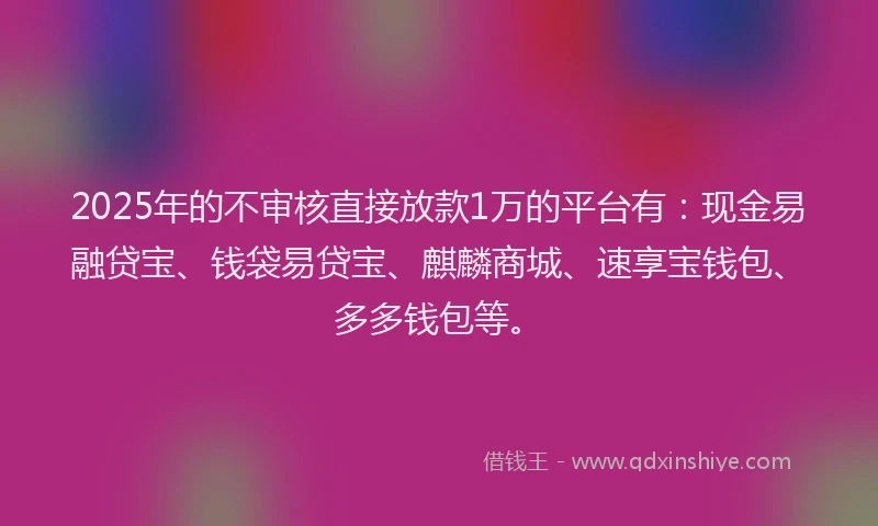 2025年的不审核直接放款1万的平台有：现金易融贷宝、钱袋易贷宝、麒麟商城、速享宝钱包、多多钱包等。