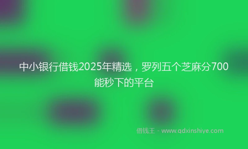 中小银行借钱2025年精选，罗列五个芝麻分700能秒下的平台