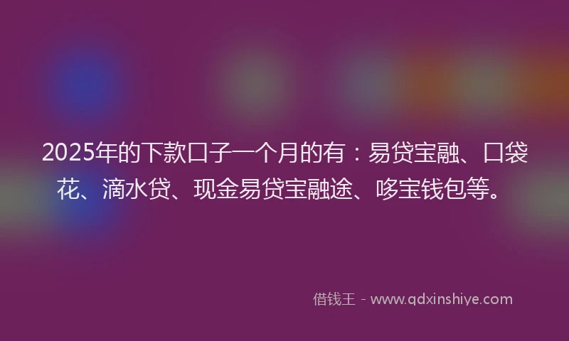 2025年的下款口子一个月的有：易贷宝融、口袋花、滴水贷、现金易贷宝融途、哆宝钱包等。