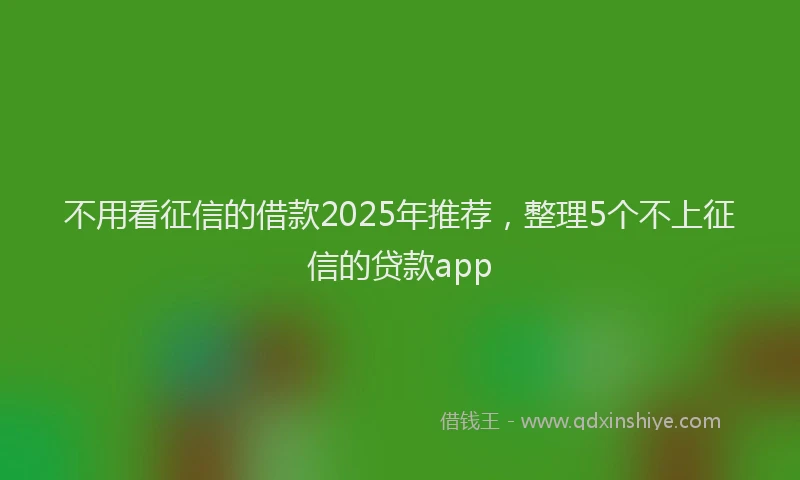 不用看征信的借款2025年推荐，整理5个不上征信的贷款app