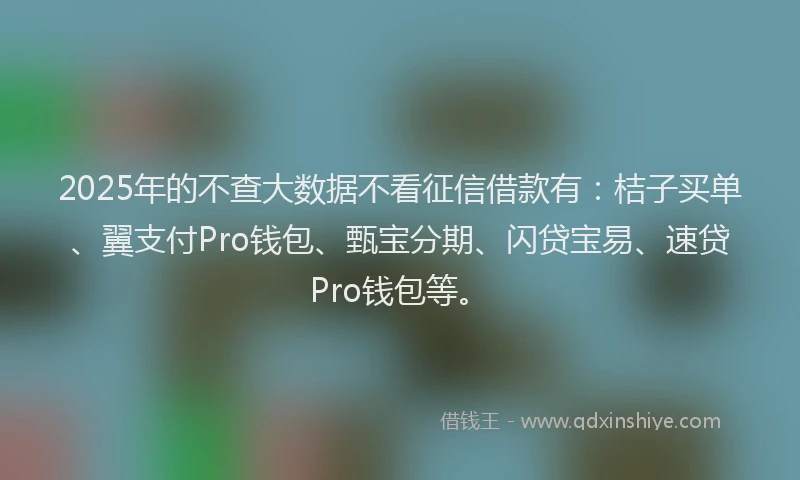 2025年的不查大数据不看征信借款有：桔子买单、翼支付Pro钱包、甄宝分期、闪贷宝易、速贷Pro钱包等。