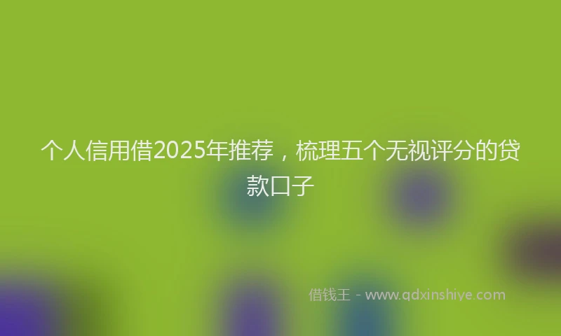 个人信用借2025年推荐，梳理五个无视评分的贷款口子