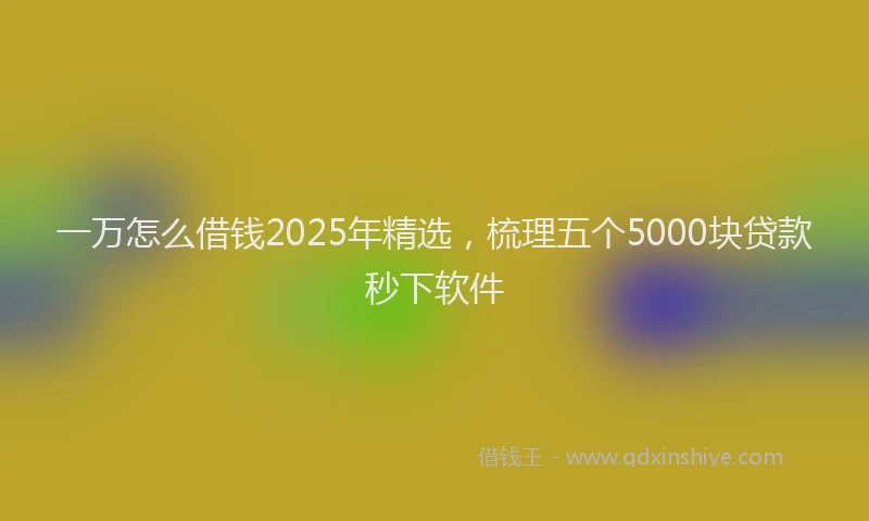 一万怎么借钱2025年精选，梳理五个5000块贷款秒下软件