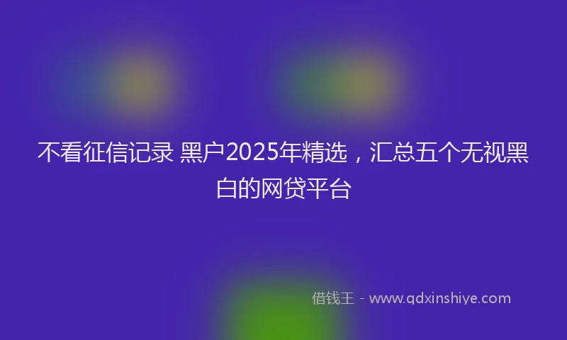 不看征信记录 黑户2025年精选，汇总五个无视黑白的网贷平台
