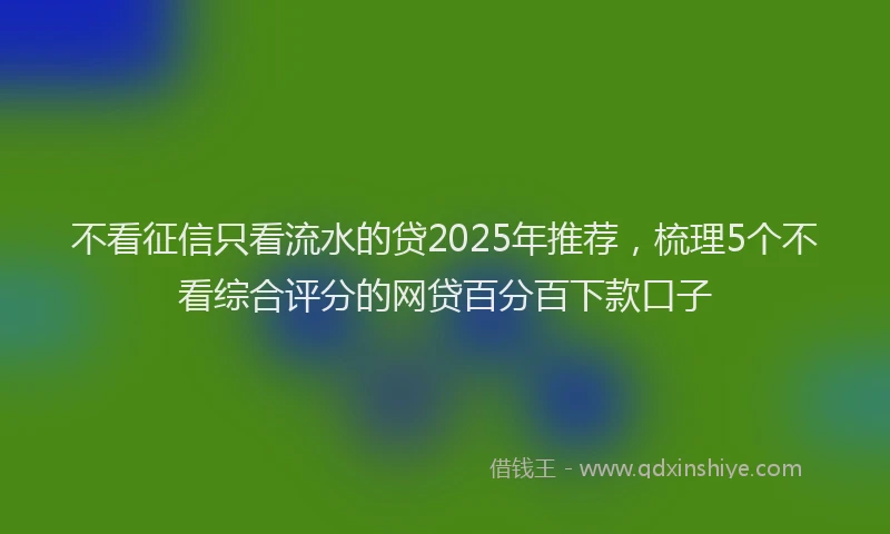 不看征信只看流水的贷2025年推荐，梳理5个不看综合评分的网贷百分百下款口子