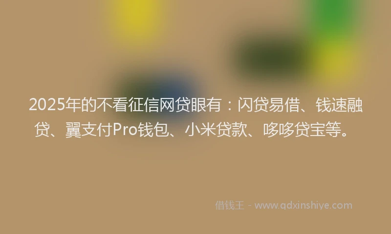 2025年的不看征信网贷眼有:闪贷易借、钱速融贷、翼支付Pro钱包、小米贷款、哆哆贷宝等。