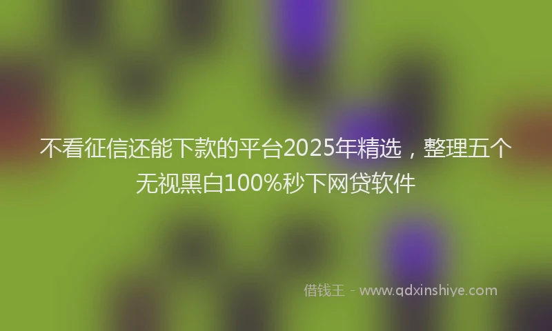 不看征信还能下款的平台2025年精选，整理五个无视黑白100%秒下网贷软件