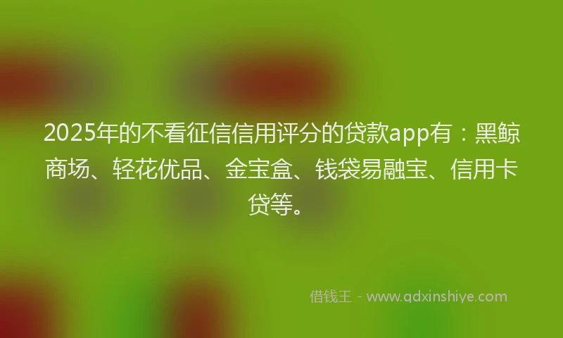2025年的不看征信信用评分的贷款app有：黑鲸商场、轻花优品、金宝盒、钱袋易融宝、信用卡贷等。