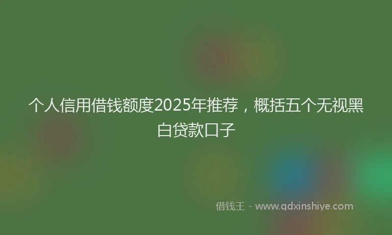 个人信用借钱额度2025年推荐，概括五个无视黑白贷款口子