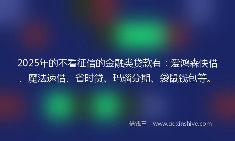 2025年的不看征信的金融类贷款有：爱鸿森快借、魔法速借、省时贷、玛瑙分期、袋鼠钱包等。