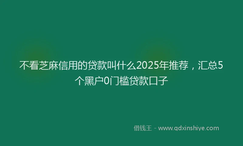 不看芝麻信用的贷款叫什么2025年推荐,汇总5个黑户0门槛贷款口子