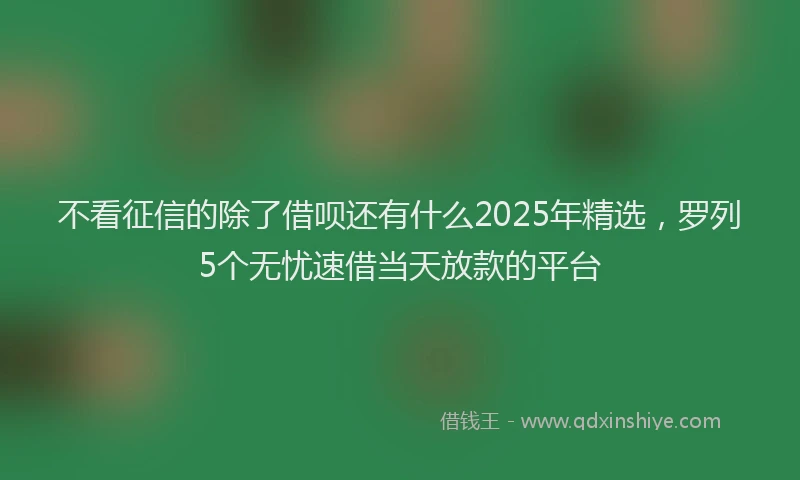 不看征信的除了借呗还有什么2025年精选，罗列5个无忧速借当天放款的平台
