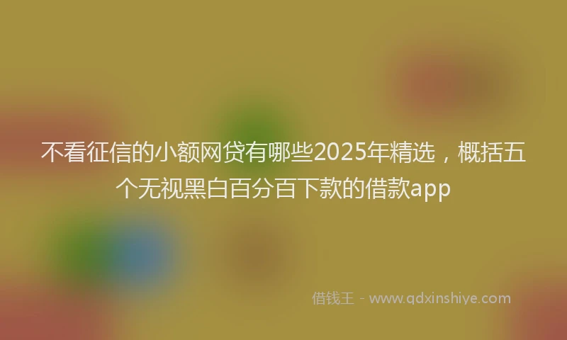 不看征信的小额网贷有哪些2025年精选，概括五个无视黑白百分百下款的借款app