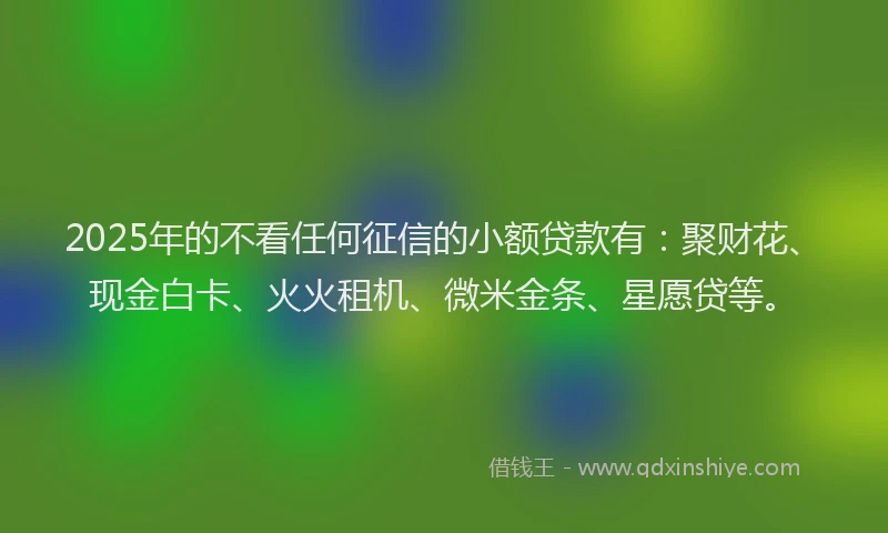 2025年的不看任何征信的小额贷款有：聚财花、现金白卡、火火租机、微米金条、星愿贷等。