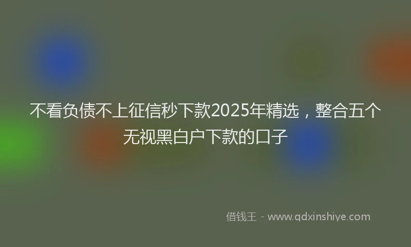 不看负债不上征信秒下款2025年精选，整合五个无视黑白户下款的口子