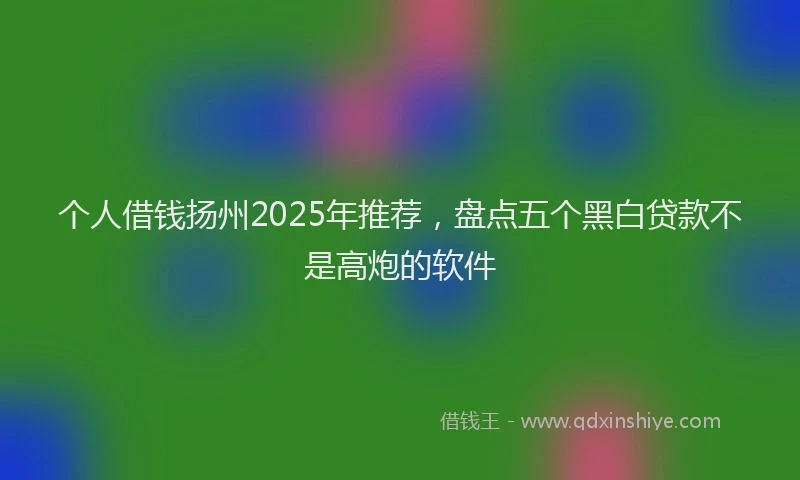 个人借钱扬州2025年推荐，盘点五个黑白贷款不是高炮的软件