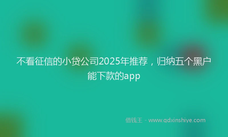 不看征信的小贷公司2025年推荐，归纳五个黑户能下款的app