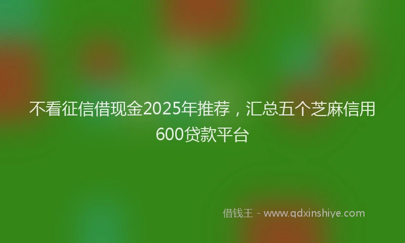 不看征信借现金2025年推荐，汇总五个芝麻信用600贷款平台
