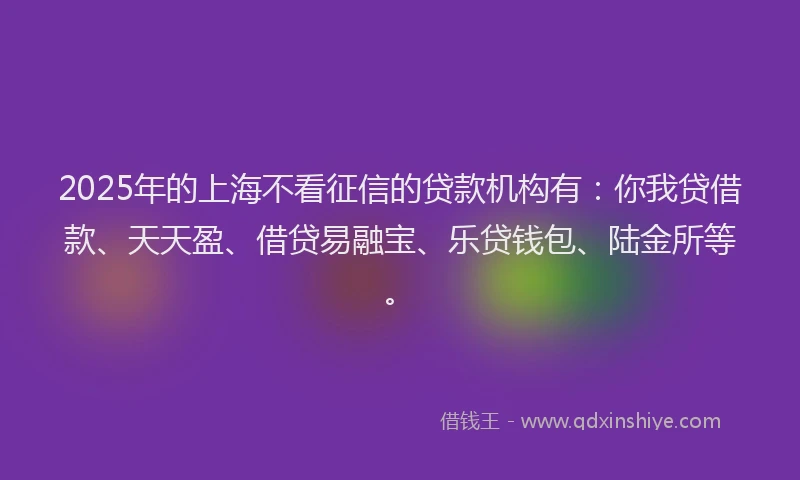 2025年的上海不看征信的贷款机构有：你我贷借款、天天盈、借贷易融宝、乐贷钱包、陆金所等。