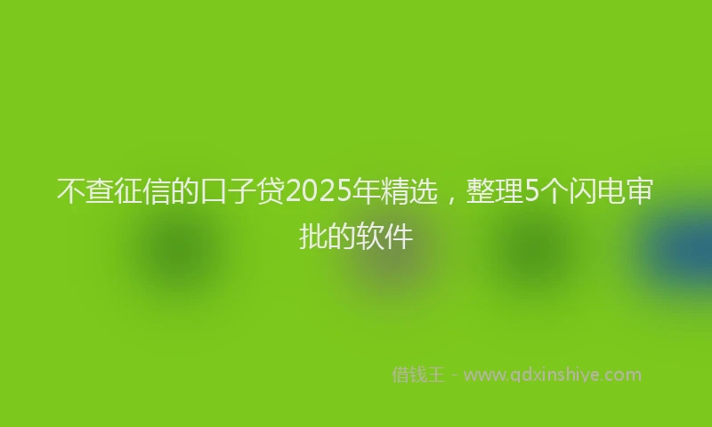 不查征信的口子贷2025年精选，整理5个闪电审批的软件