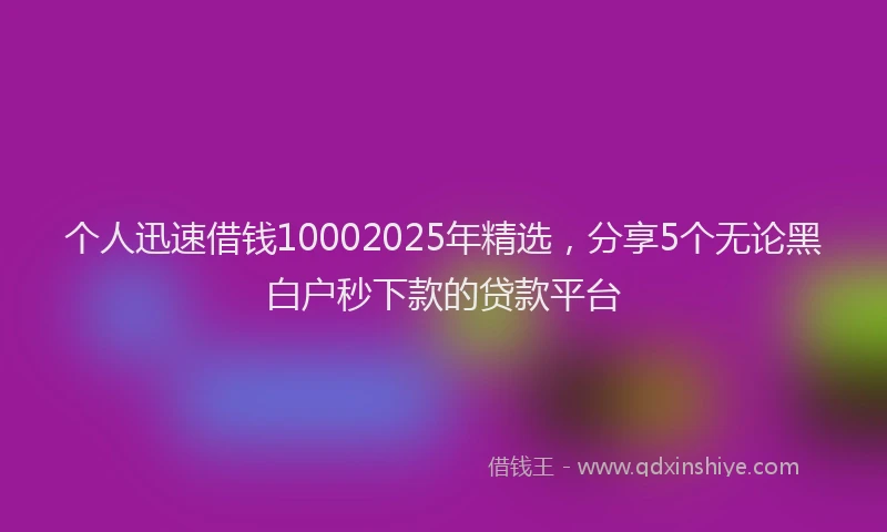 个人迅速借钱10002025年精选，分享5个无论黑白户秒下款的贷款平台