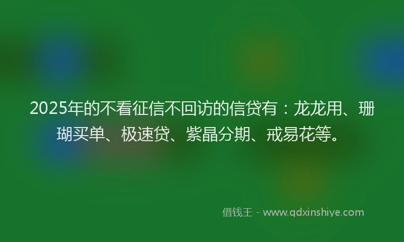 2025年的不看征信不回访的信贷有：龙龙用、珊瑚买单、极速贷、紫晶分期、戒易花等。