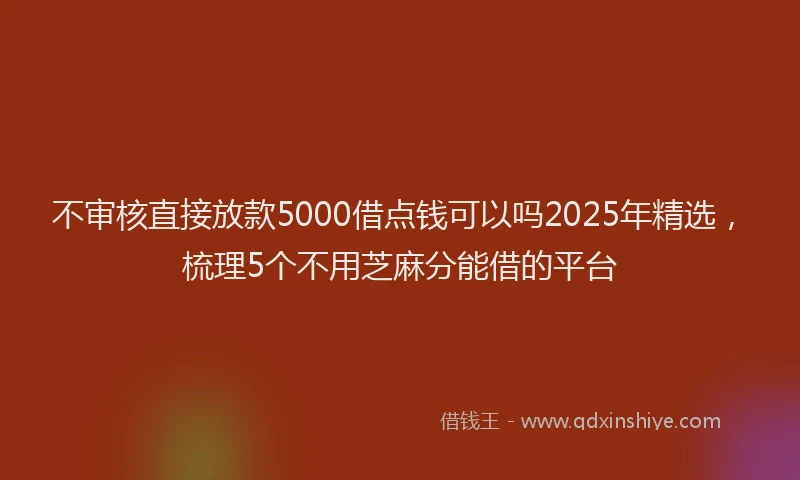 不审核直接放款5000借点钱可以吗2025年精选,梳理5个不用芝麻分能借的平台