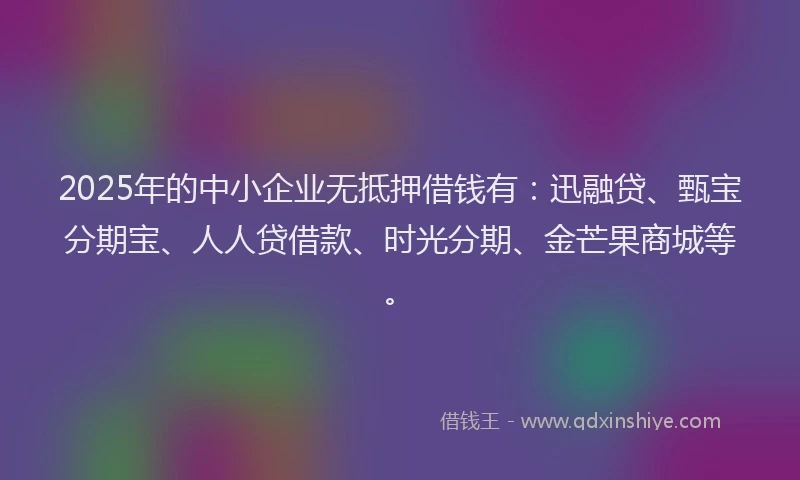 2025年的中小企业无抵押借钱有：迅融贷、甄宝分期宝、人人贷借款、时光分期、金芒果商城等。
