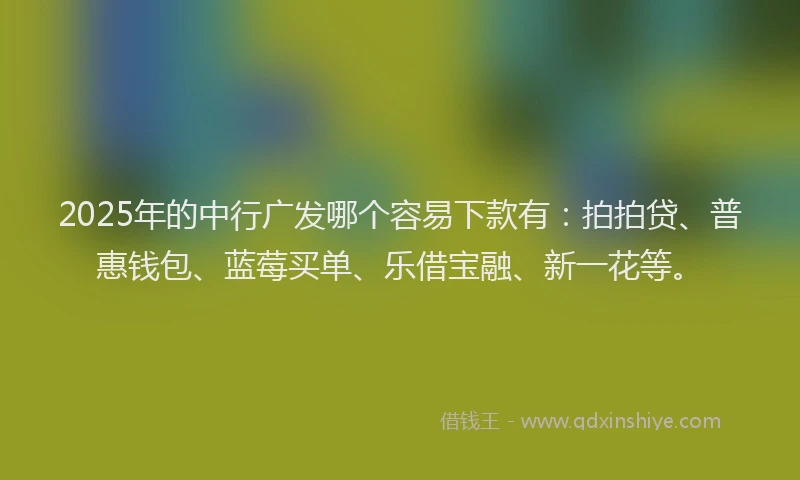 2025年的中行广发哪个容易下款有：拍拍贷、普惠钱包、蓝莓买单、乐借宝融、新一花等。