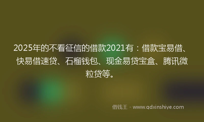 2025年的不看征信的借款2021有：借款宝易借、快易借速贷、石榴钱包、现金易贷宝盒、腾讯微粒贷等。