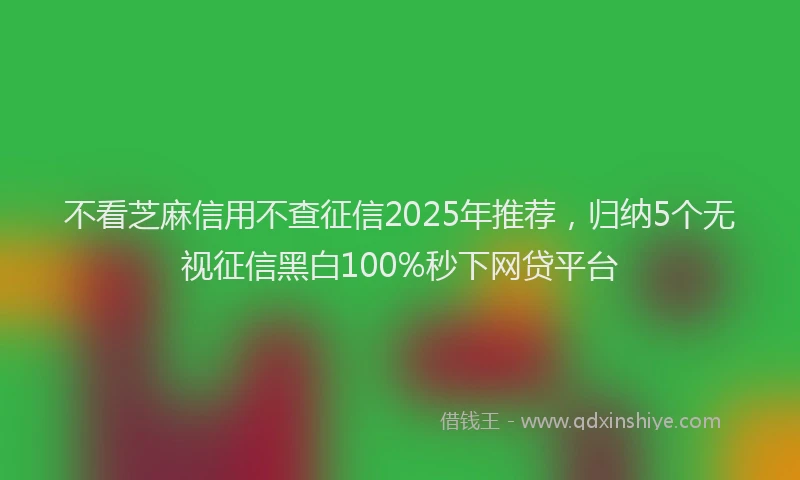 不看芝麻信用不查征信2025年推荐，归纳5个无视征信黑白100%秒下网贷平台