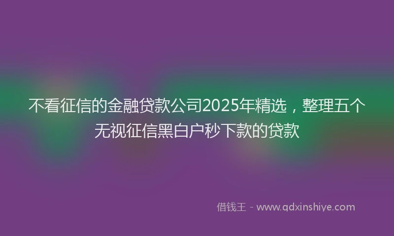 不看征信的金融贷款公司2025年精选，整理五个无视征信黑白户秒下款的贷款