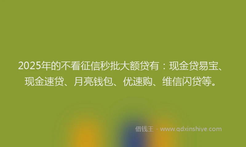 2025年的不看征信秒批大额贷有：现金贷易宝、现金速贷、月亮钱包、优速购、维信闪贷等。