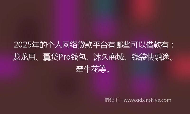 2025年的个人网络贷款平台有哪些可以借款有：龙龙用、翼贷Pro钱包、沐久商城、钱袋快融途、牵牛花等。