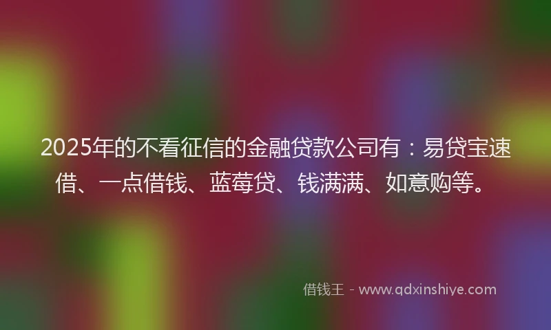 2025年的不看征信的金融贷款公司有：易贷宝速借、一点借钱、蓝莓贷、钱满满、如意购等。