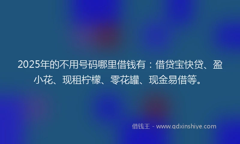 2025年的不用号码哪里借钱有：借贷宝快贷、盈小花、现租柠檬、零花罐、现金易借等。