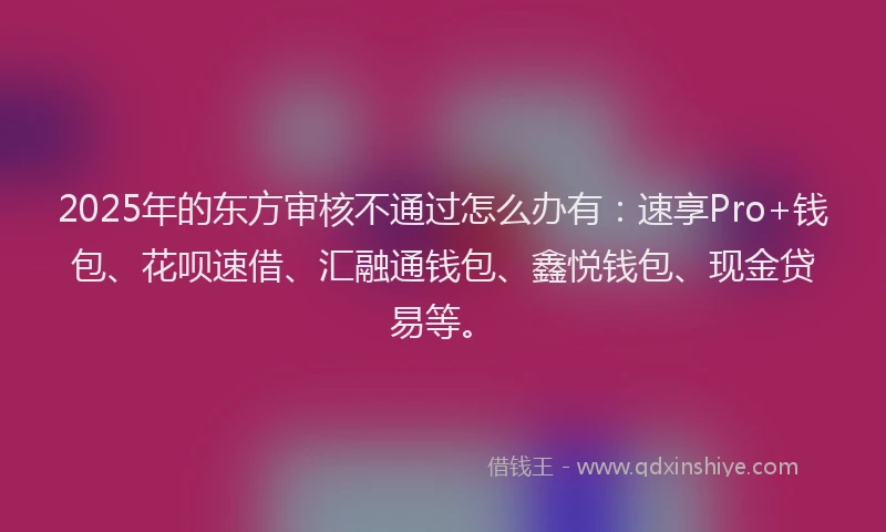 2025年的东方审核不通过怎么办有：速享Pro+钱包、花呗速借、汇融通钱包、鑫悦钱包、现金贷易等。