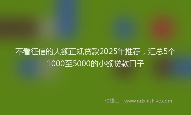 不看征信的大额正规贷款2025年推荐，汇总5个1000至5000的小额贷款口子