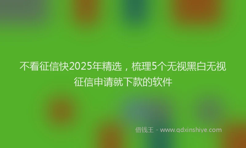 不看征信快2025年精选，梳理5个无视黑白无视征信申请就下款的软件