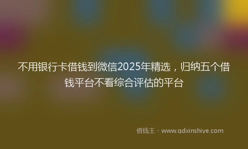 不用银行卡借钱到微信2025年精选，归纳五个借钱平台不看综合评估的平台