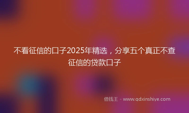 不看征信的口子2025年精选，分享五个真正不查征信的贷款口子