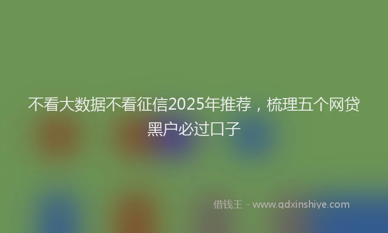 不看大数据不看征信2025年推荐，梳理五个网贷黑户必过口子