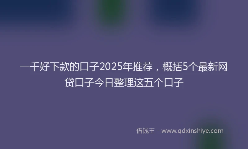 一千好下款的口子2025年推荐，概括5个最新网贷口子今日整理这五个口子