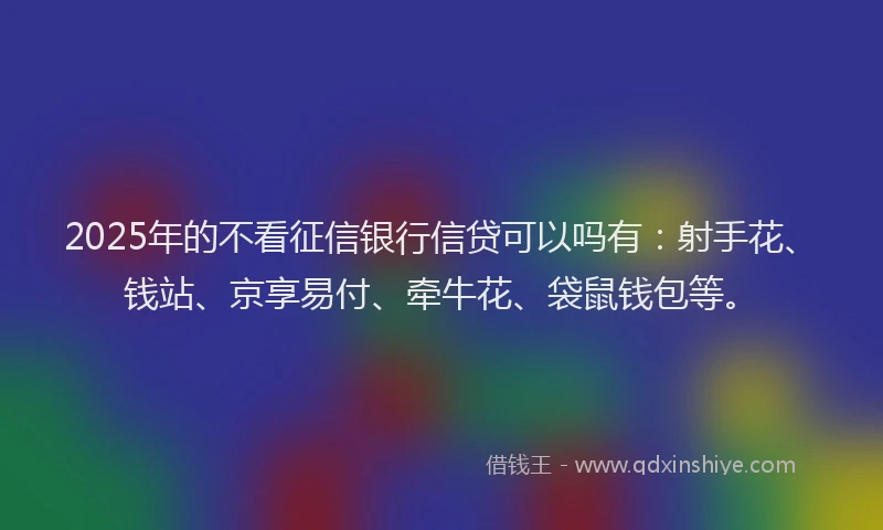 2025年的不看征信银行信贷可以吗有:射手花、钱站、京享易付、牵牛花、袋鼠钱包等。