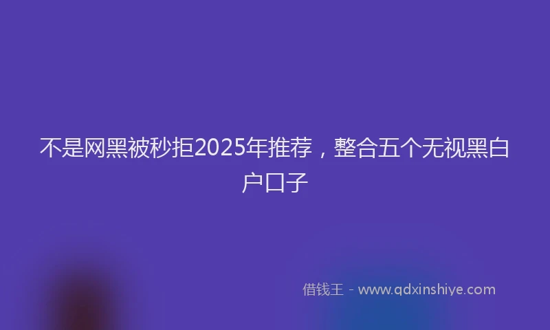 不是网黑被秒拒2025年推荐，整合五个无视黑白户口子