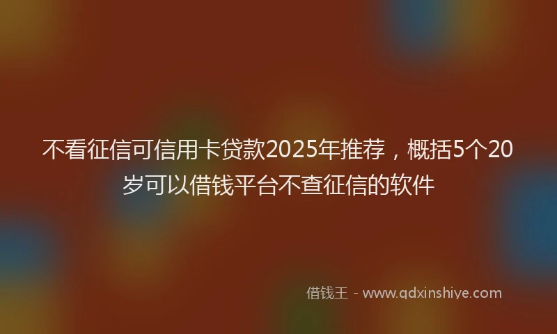 不看征信可信用卡贷款2025年推荐，概括5个20岁可以借钱平台不查征信的软件