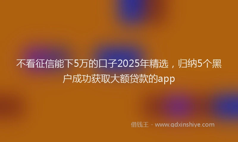 不看征信能下5万的口子2025年精选，归纳5个黑户成功获取大额贷款的app