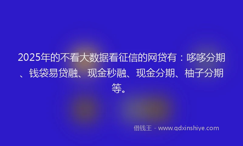 2025年的不看大数据看征信的网贷有：哆哆分期、钱袋易贷融、现金秒融、现金分期、柚子分期等。