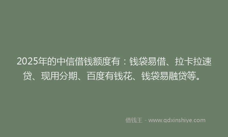 2025年的中信借钱额度有：钱袋易借、拉卡拉速贷、现用分期、百度有钱花、钱袋易融贷等。